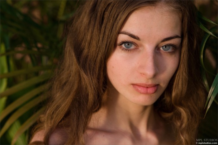 Sasha Flora Fauna